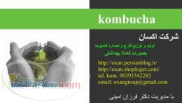 فروش قارچ کفیر وکامبوچا در تهران وسراسر کشور