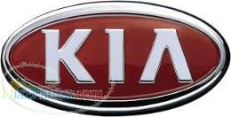 فروش لوازم ريو لوازم يدکي ريو لوازم ريو قطعات ريو 