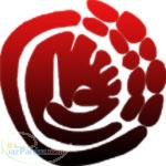 پوشاک زنانه ترک مارکدار(علی)2018