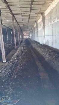 خریدار سبد دست دوم ورمی کمپوست