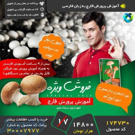 پرورش قارچ در منزل بدون سرمایه