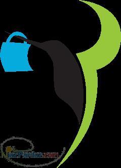 تخفیف باشگاه ورزشی مه پیکر رشت 