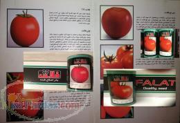 فروش بذر گوجه فرنگی در کرج