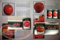 فروش بذر گوجه فرنگی در کرج