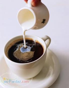 کافی کریمر (پودر شیر) Coffee Creamer