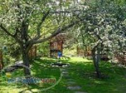 فروش زمین و باغ در شمال - قائمشهر