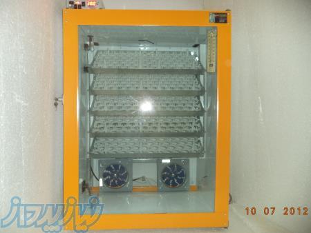 دستگاه جوجه کشی مدبر قم