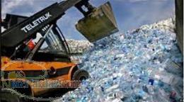 خرید پت زنده و پرسی و فروش پرک آسیابی پت 