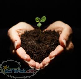 کود مایع ارگانیک 