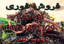 فروش فوری کرم و کود کمپوست 09121871129 