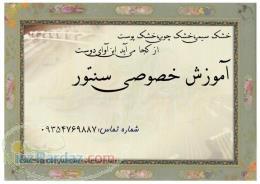 آموزش خصوصی سنتور 