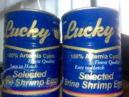 فروش ارتمیا(تخم میگو) 