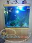 فروش اکواریوم mdf