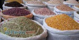 حبوبات ماها 09131669943 