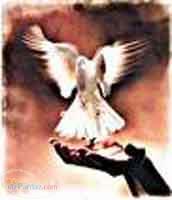 مرکز درمان سوء مصرف مواد ناجی شرق تهران