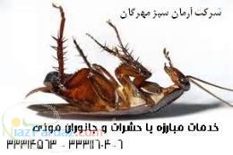 سمپاشی  سمپاشی حشرات و جانوران موذی با مجوز وزارت بهداشت 