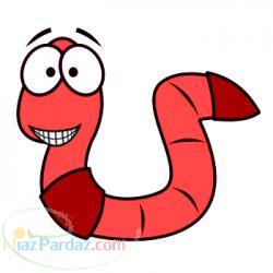 فروش کرم گونه ایزینیا فتیدا و کود ورمی کمپوست مرغوب 