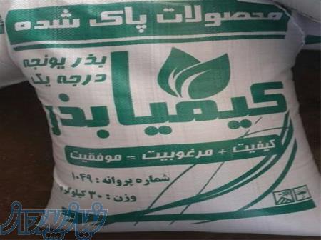 خرید و فروش انواع بذر یونجه شبدر و شنبلیله و ارزن