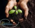 خريد تضميني ورمي كمپوست توليدي 