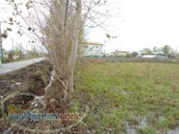 فروش فوری زمین 104 هکتاری با سند منگوله دار چمستان نور