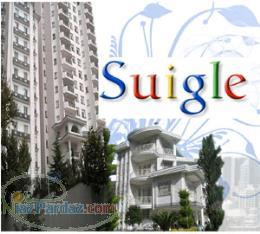 طراحی وب سایت ویژه مشاور املاک