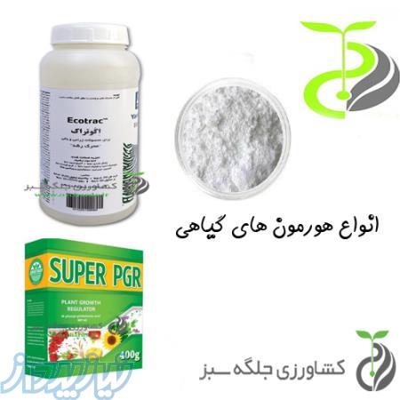 هورمون گیاهی