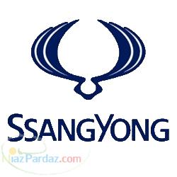 فروش اقساطی نیواکتیون 2014 تیپ Comfort  نیواکتیون 2014 تیپ luxury 