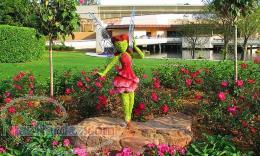 کاشت گل و گیاه در باغچه و گلهای آپارتمانی 