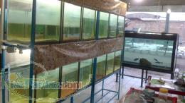 مغازه آکواریوم فروشی 