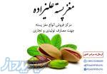 خرید و فروش انواع مغز پسته