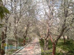 خریدوفروش زمین باغ ملک در گرمابدر آبنیک لالان زاگون روته دربندسر شمشک امین آباد زردبند رودک کلوگان