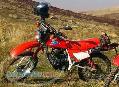 honda ایکس ال 125 