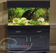 میز آکواریوم 