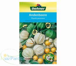 فروش بذر فیسالیس گیلاس زمینی phisalis seeds