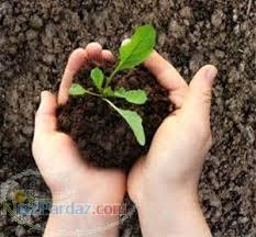 فروش کودشسته 