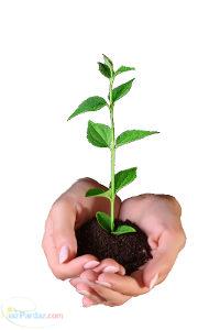 خریدورمی کمپوست 