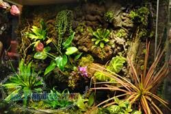 تراریوم پالوداریوم و دکوراسیون داخلی 