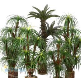 تولید و توزیع گلهای مصنوعی و گلدان 