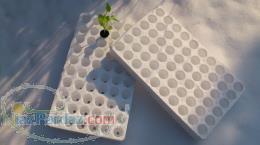 انواع سینی نشاء 