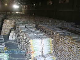 فروش بذر 704دشت مغان