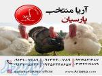 فروش بوقلمون در یزد