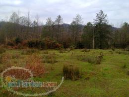 فروش زمین 25000متر 