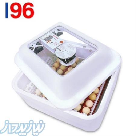 دستگاه جوجه کشی کبک09198843096