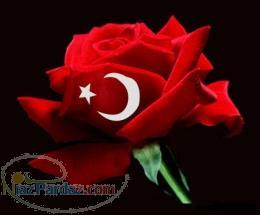 آموزش خصوصی ترکی استانبولی 