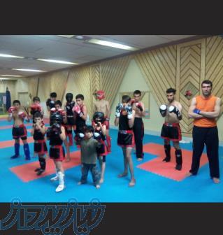 آموزش هنر رزمی ووشو