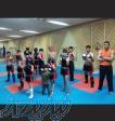 آموزش هنر رزمی ووشو