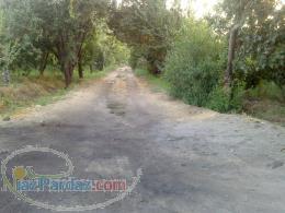 فروش باغ میوه 