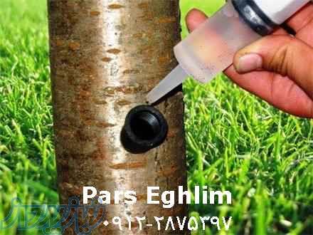 تزریق مستقیم مواد مغذی (کود) به تنه درخت