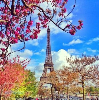 آموزش زبان فرانسه