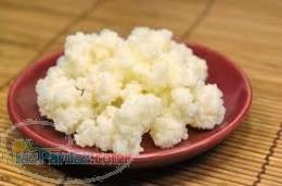 فروش قارچ کفیر و کامبوجیا با کمترین قیمت 